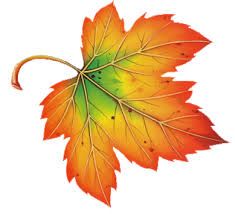 Картинки по запросу кленовый лист | Осенние листья тату, Осенние листья,  Падающие листья